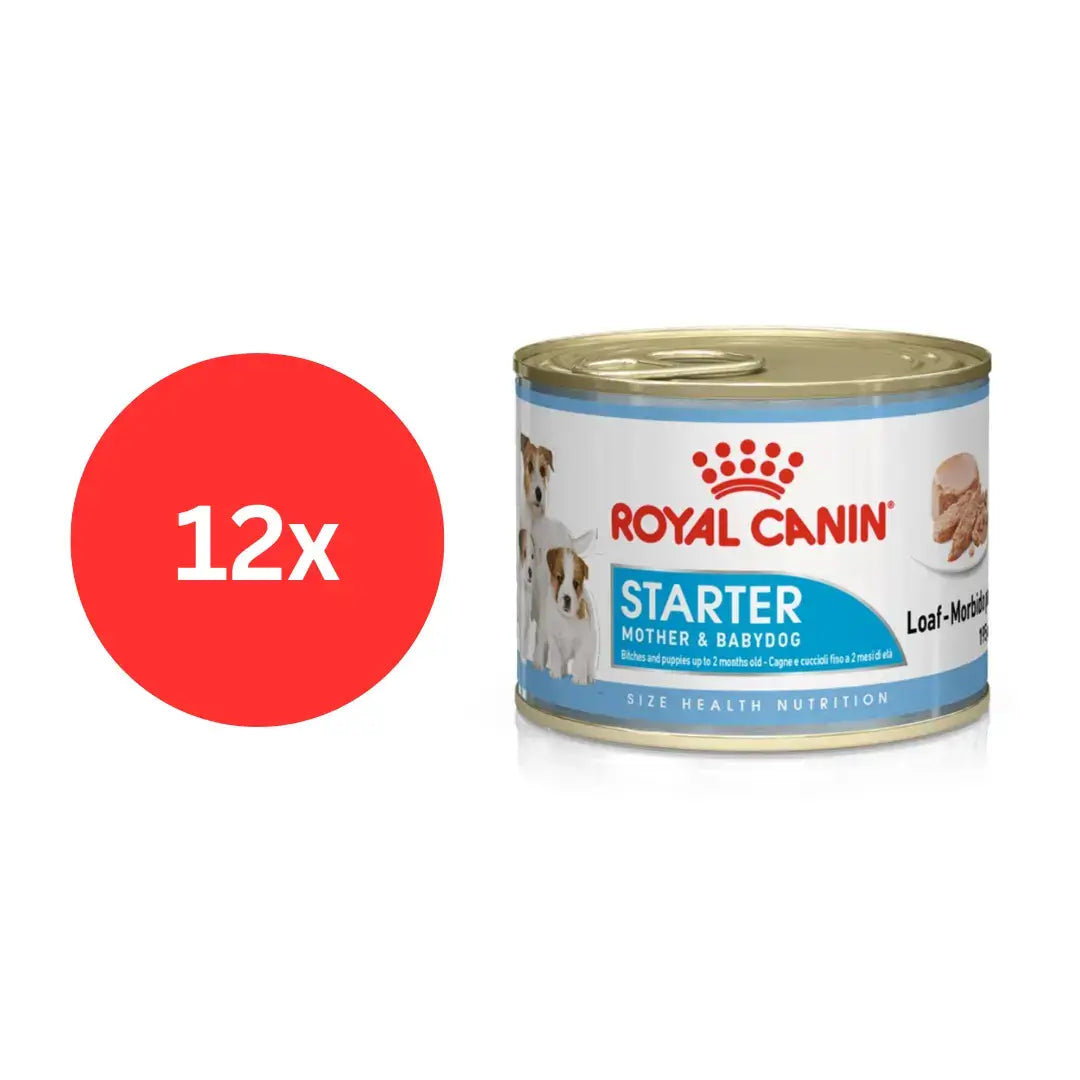 Royal Canin Starter Mousse – hranljiva vlažna hrana za štence i dojilje