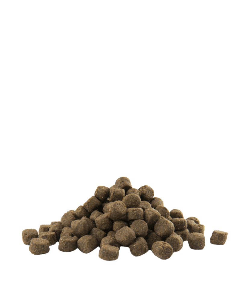 Opti Life Sterilised Dog – hrana za gojazne pse