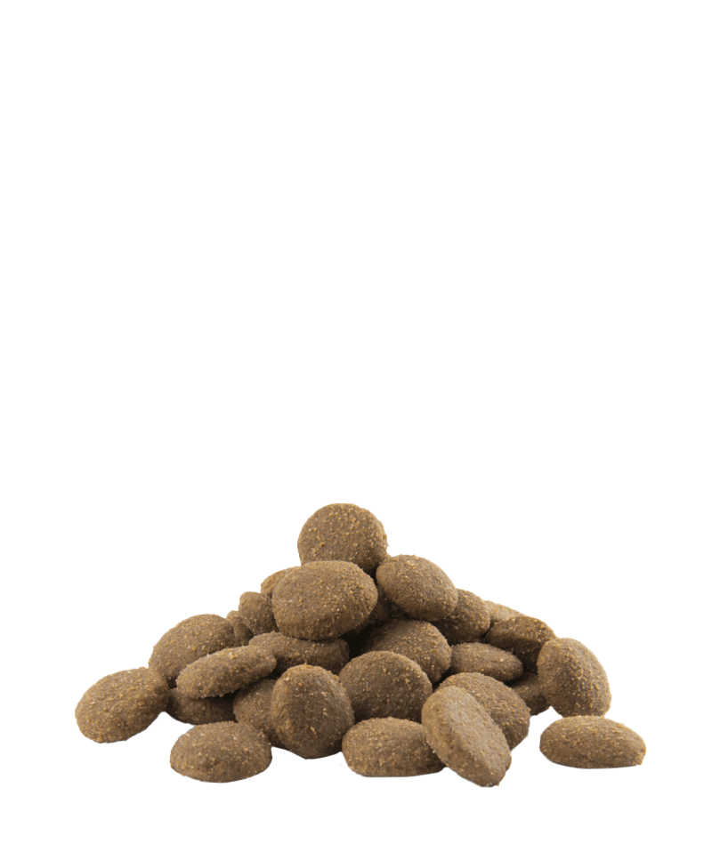 Opti Life Maxi Adult 12.5kg – Hrana za odrasle pse velikih rasa - petcorner