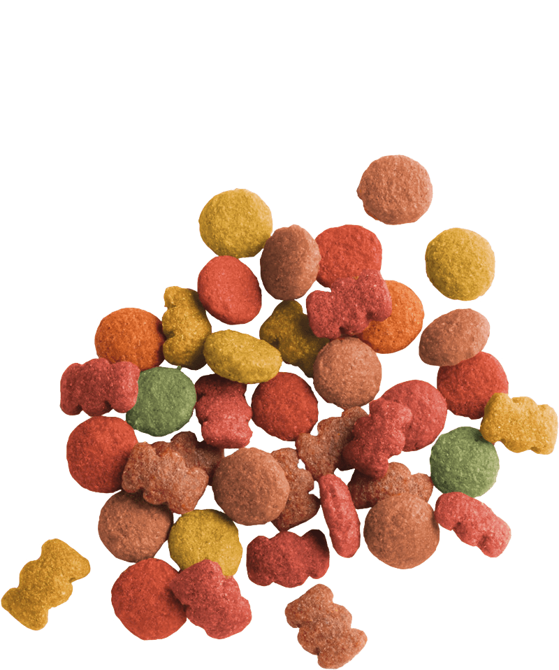 Lara Hrana za Mačke sa Piletinom i Ćuretinom 10kg - petcorner