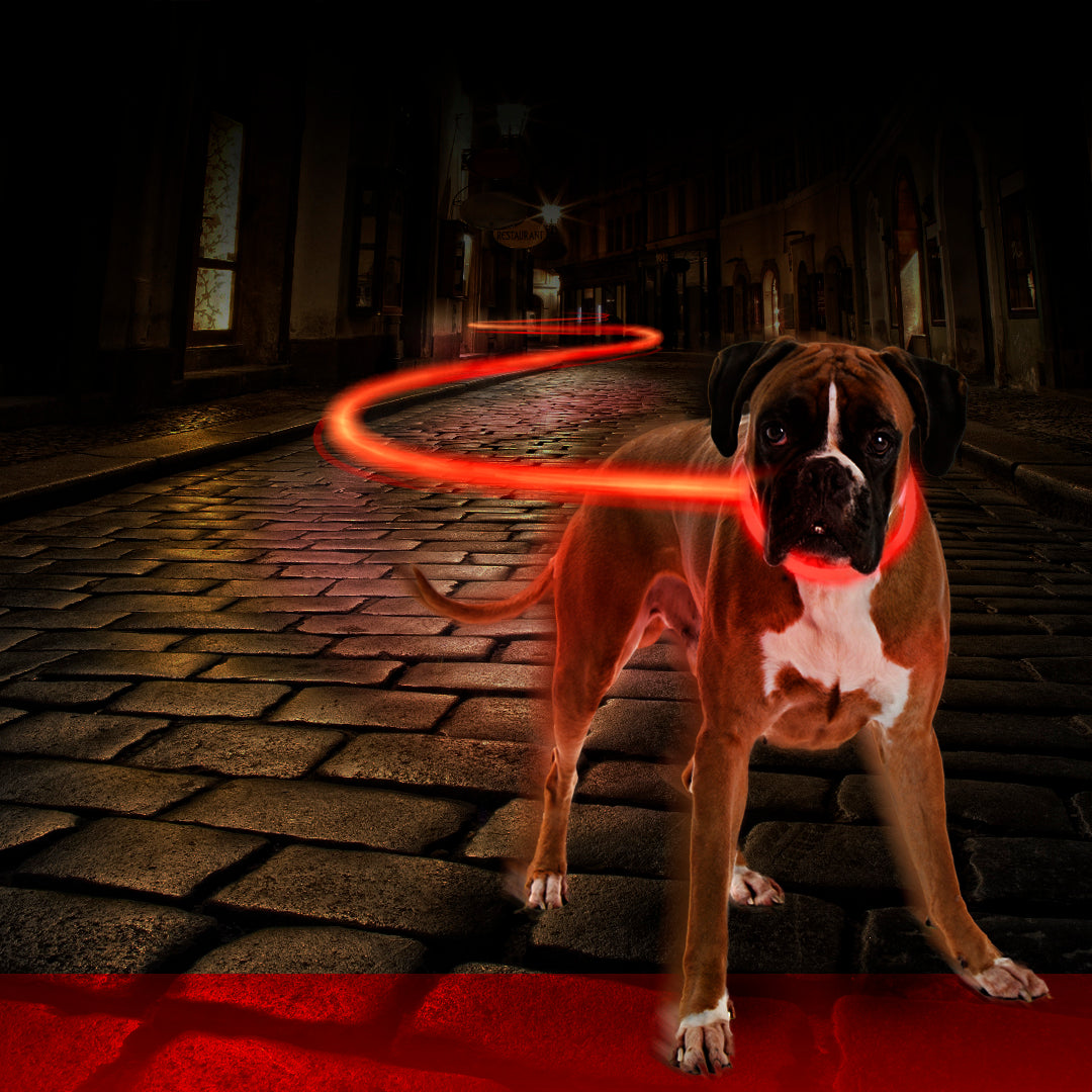 Duvo+ LED svetleća USB najlonska ogrlica crvena 70cm