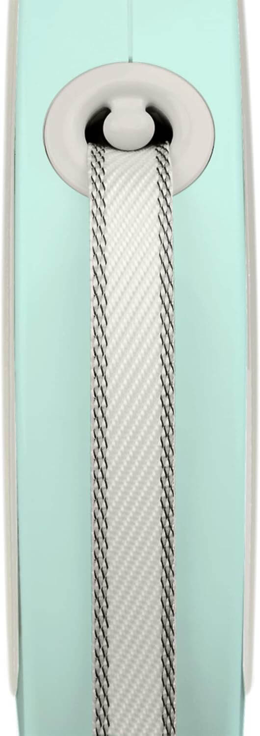 Flexi Style S povodac 3m mint za pse do 12 kg - petcorner