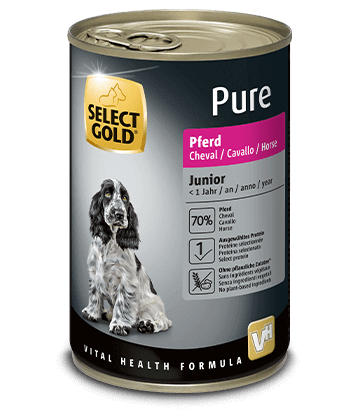 SELECT GOLD Dog Pure Junior Konjetina 400gr konzerva - petcorner