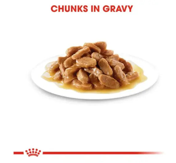 Royal Canin Mini Puppy u sosu – komadići mesa za male vilice