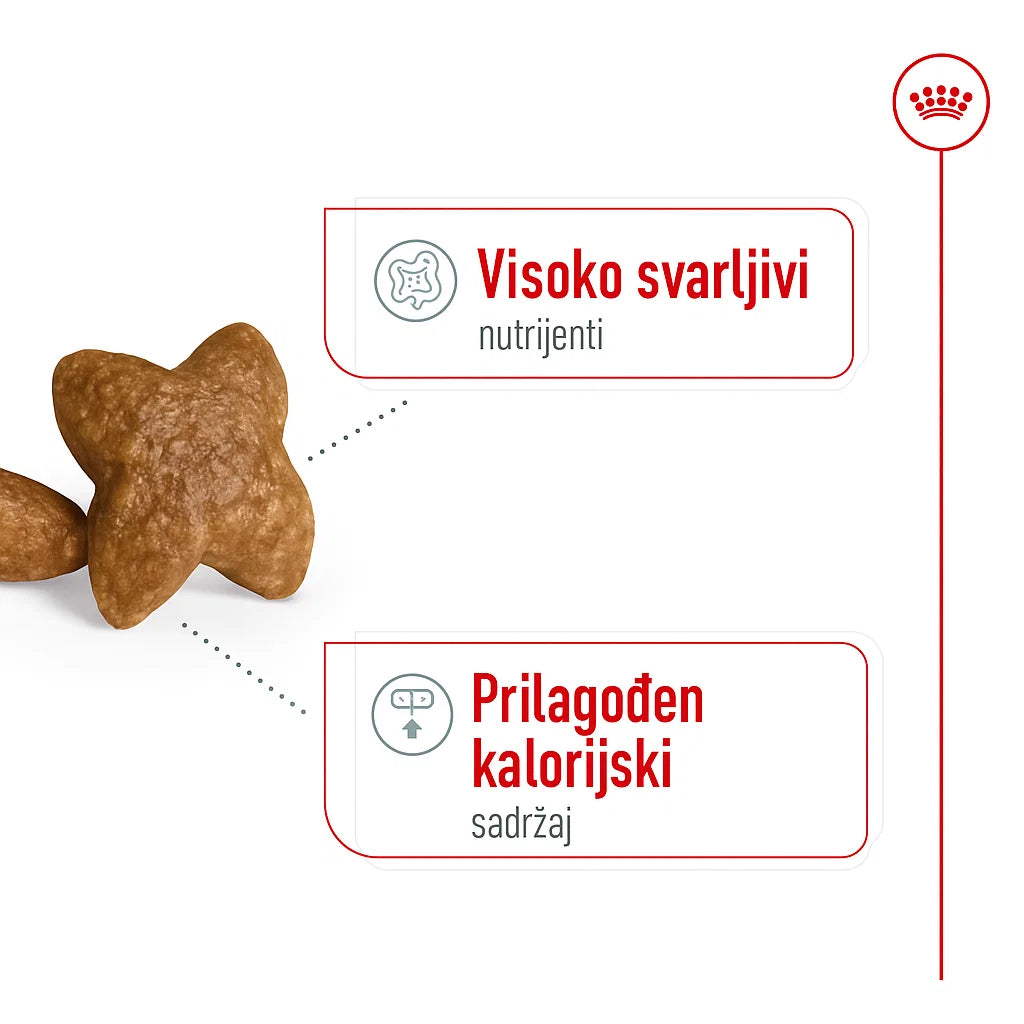 Royal Canin Mini Adult – hrana za male pse (0.8–8 kg)