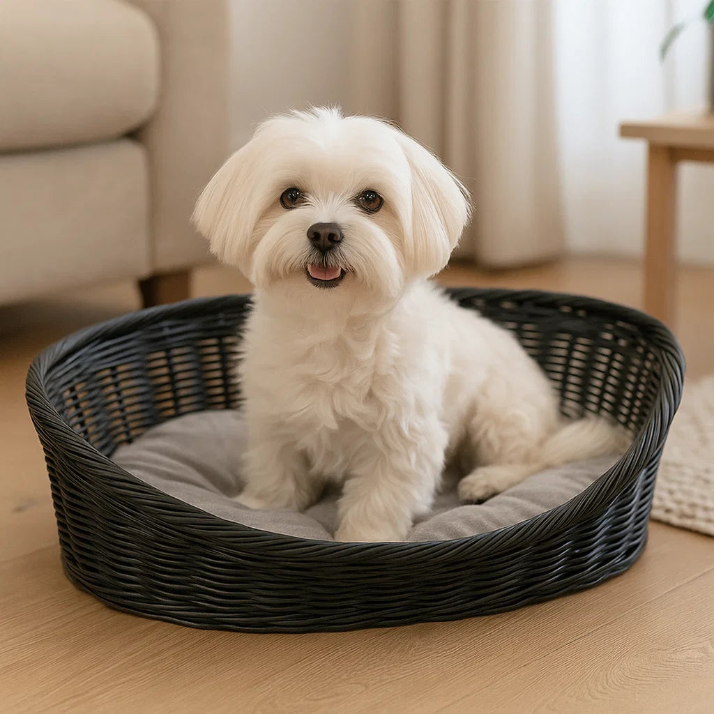 Rustična korpa za pse i mačke sa jastukom