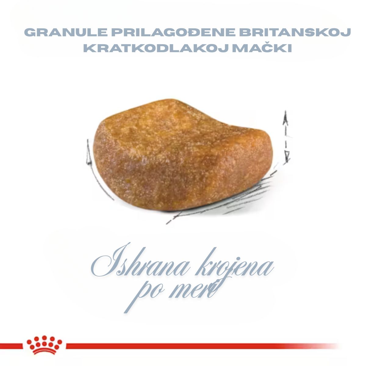 royal canin granule za britansku kratkodlaku macku, granula prilagodjena britancu