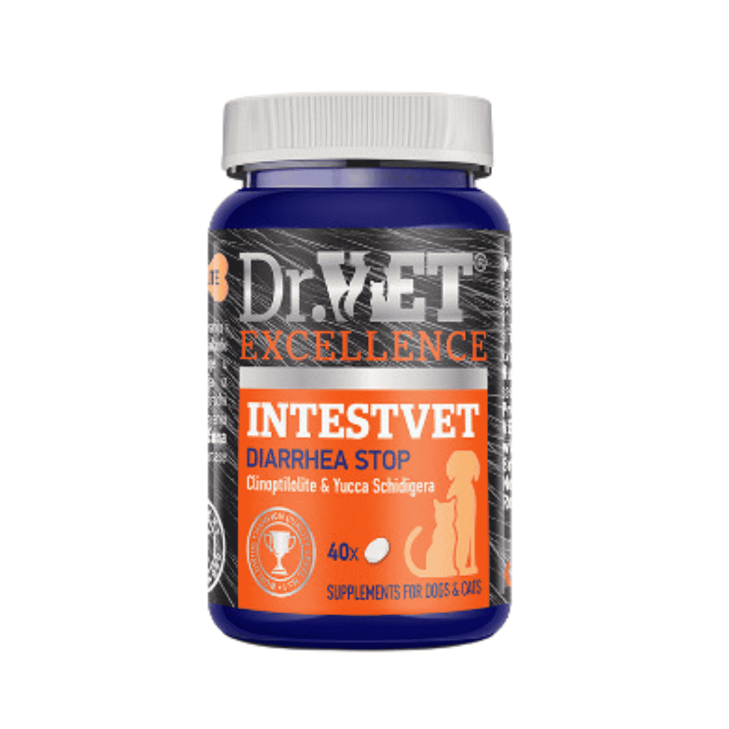 Dr.Vet Intestvet tablete 40 komada za dijareju pasa i mačaka