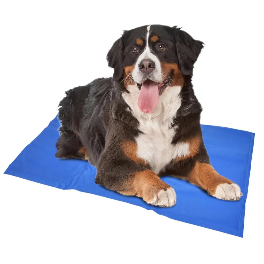 Duvo+ Rashladna ležaljka za pse, Plava, L, 90x50 cm – Gel za hlađenje - petcorner