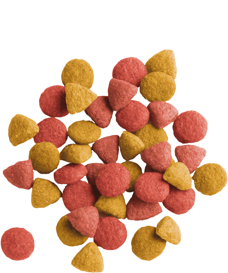 Lara Hrana za Sterilisane Mačke sa Piletinom – 10 kg - petcorner