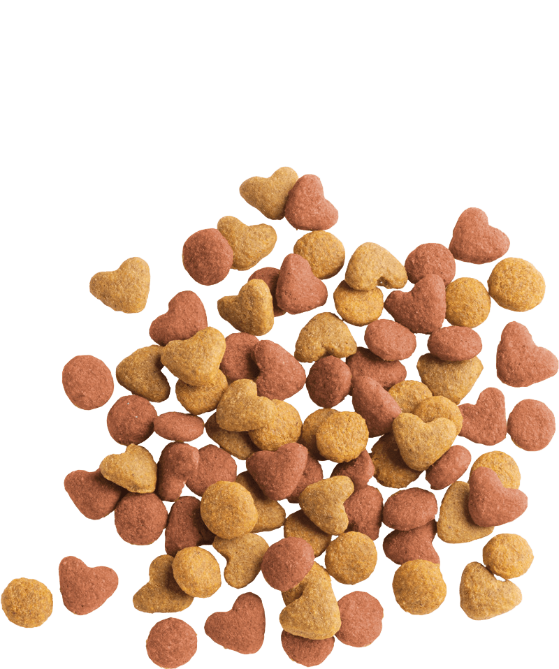 Lara Junior Hrana za Mačiće sa Piletinom – 2 kg - petcorner