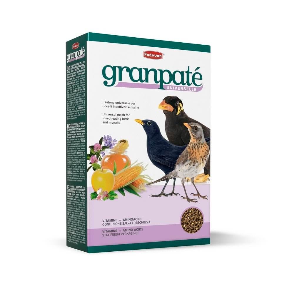 Padovan Gran Patee Universelle 1kg - Potpuna Hrana za Insektojedne Ptice - petcorner