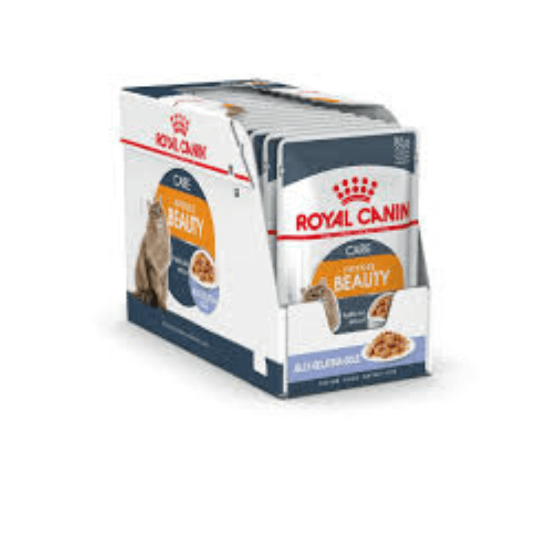 Royal Canin Intense Beauty vlažna hrana u želeu za mačke 12x85g