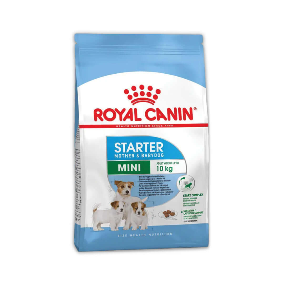 Royal Canin Mini Starter 1 kg - Suva hrana za štence malih rasa i gravidne kuje