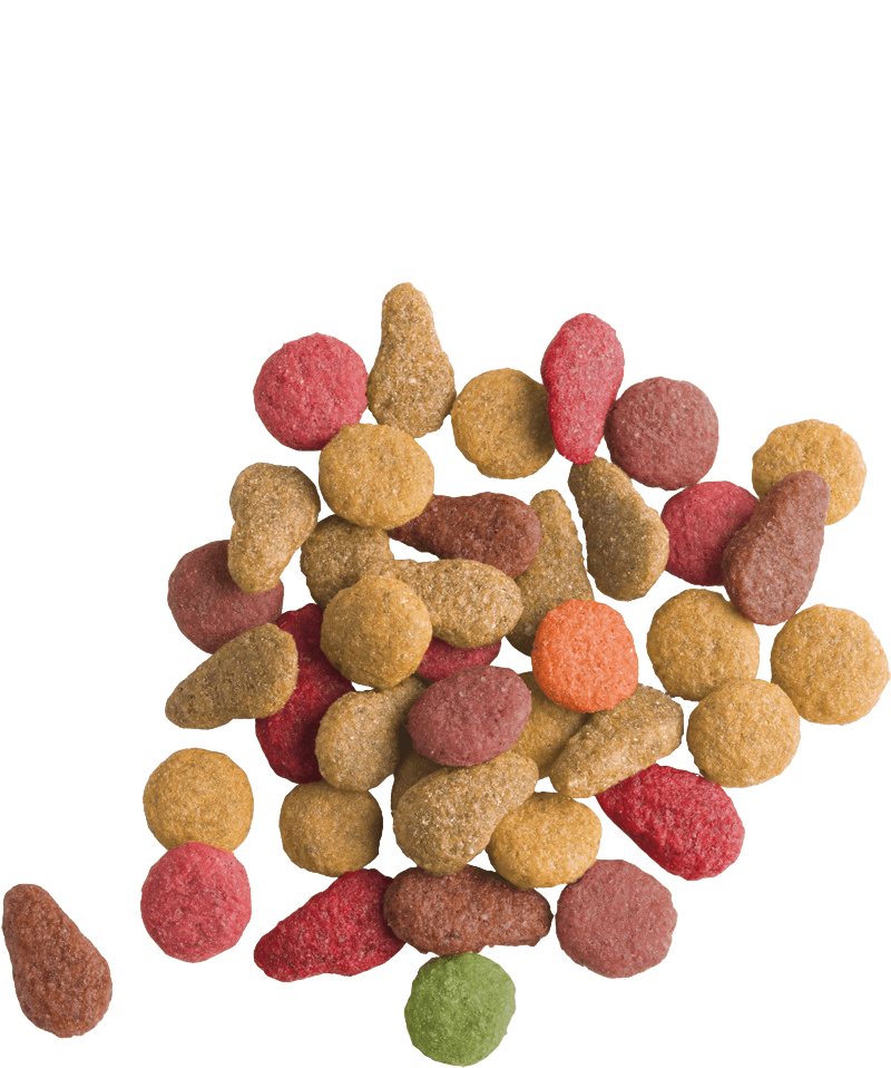 Lara Hrana za Odrasle Mačke sa Lososom 10kg - petcorner