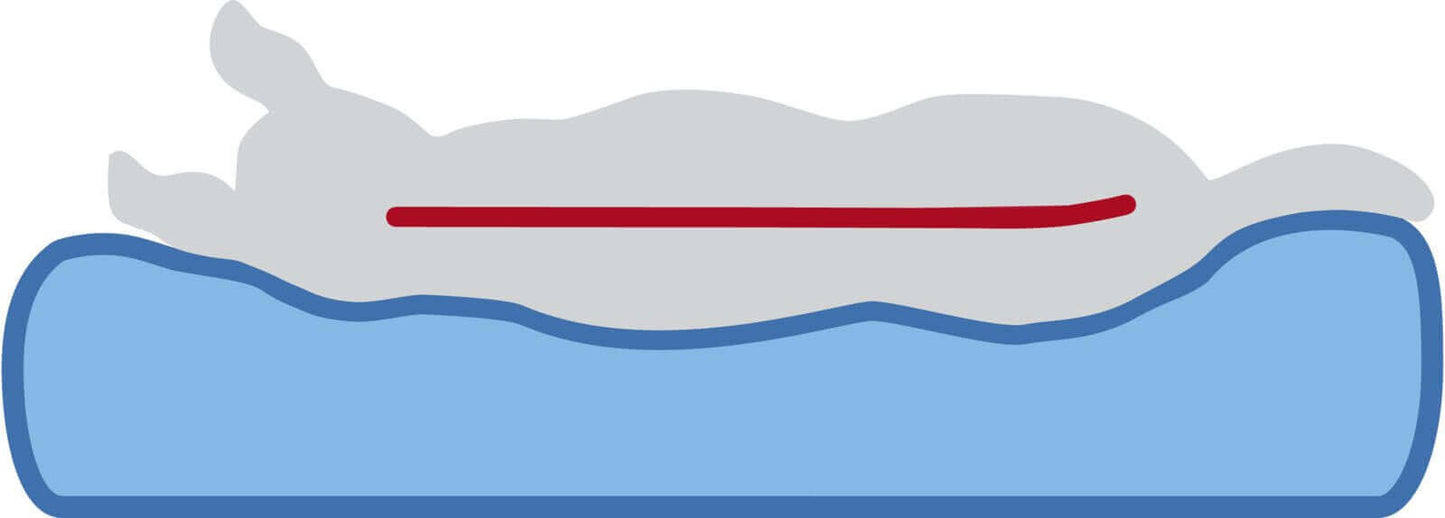 Trixie Lonni Vital ortopedska ležaljka za pse 50x35cm siva - petcorner