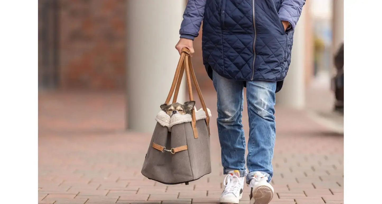 TRIXIE Torba Rachel – pet accessories – gray bag for small dogs