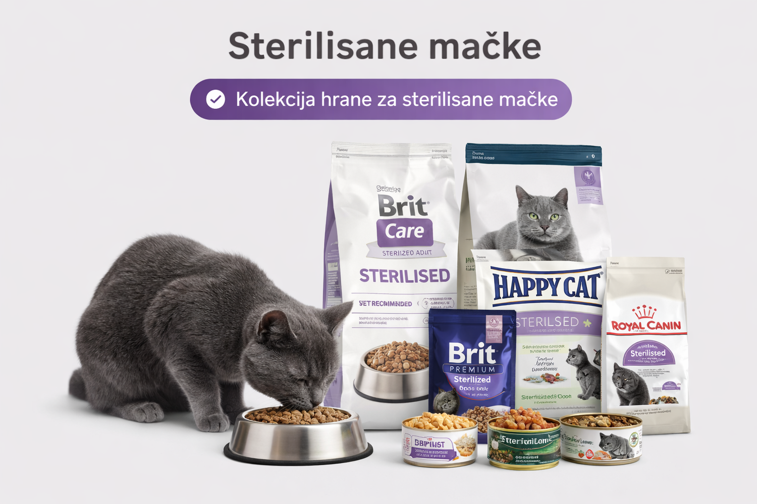 Sterilisane mačke - petcorner