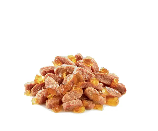 Royal Canin Sterilised In Jelly - komadići u želeu 12x85g