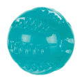Trixie Denta Fun Lopta 6cm – TPR Guma, Sa Menta Ukusom