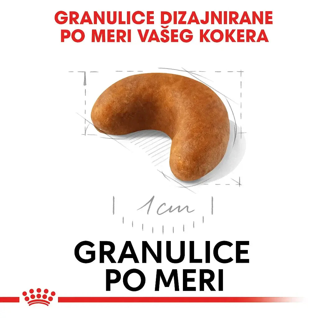 Royal Canin granule po meri, hrana za pse, specijalne za koker španijela