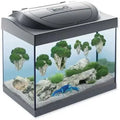 Tetra Start Line LED Cray Black akvarijum 30L