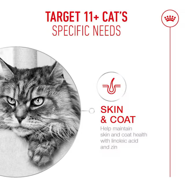 Royal Canin Ageing 11+ Hrana za Starije Mačke