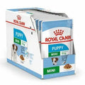 Royal Canin Mini Puppy u sosu, mokra hrana za štence, 12x85g