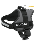 Julius-K9 Power AM za pse L (63-85 cm) Antracit