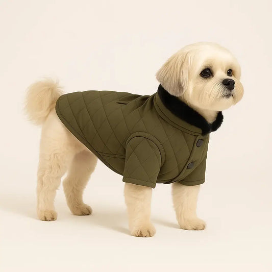 jakna za male pse, idealna za setnje malih pasa poput shih tzu i maltezera