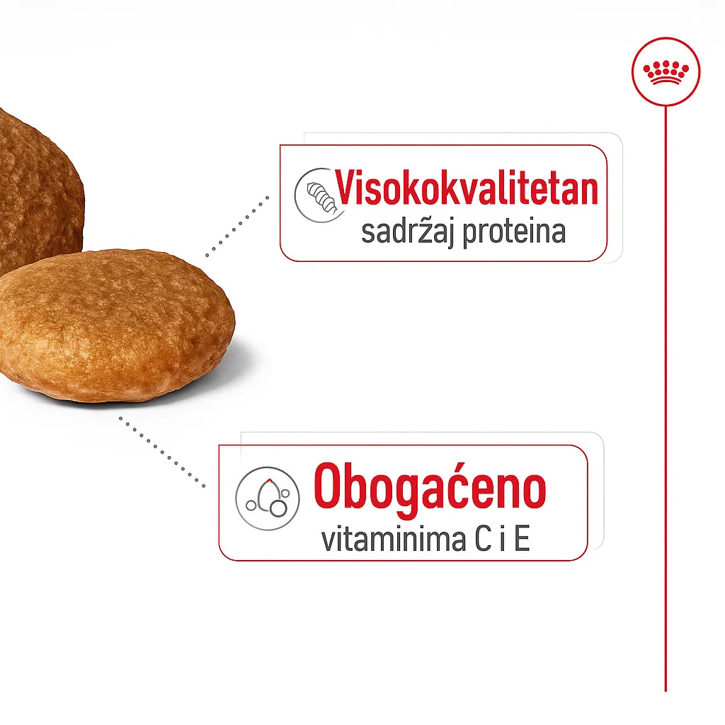 Granule Royal Canin Medium Adult hrane za pse, uz istaknute nutritivne prednosti: visokokvalitetan sadržaj proteina i obogaćeno vitaminima C i E.