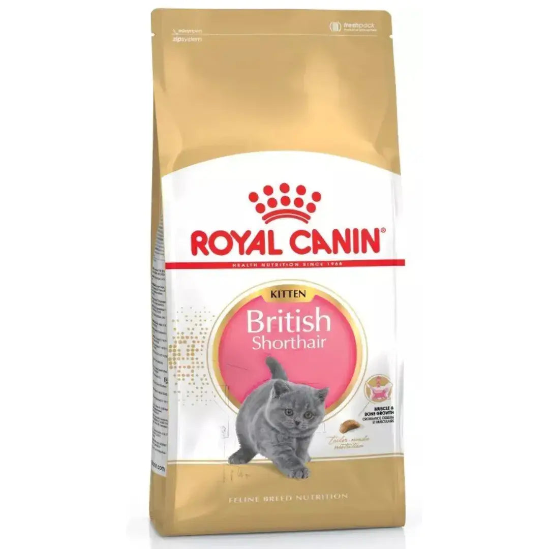 Royal Canin British Shorthair Kitten suva hrana za mačiće 2kg

