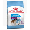 Royal Canin Giant Junior