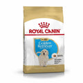Royal Canin Golden Retriever PUPPY 12kg – Hrana za štence