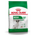 Royal Canin Mini Adult +8