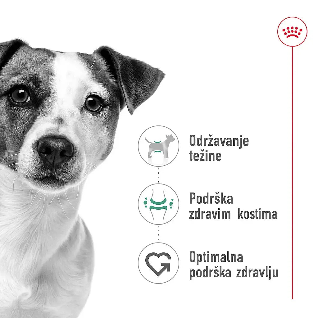 Royal Canin Mini Adult – benefiti za male pse: održavanje težine, podrška zdravim kostima i optimalna podrška zdravlju.