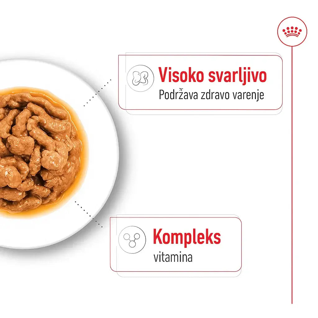 Royal Canin Mini Adult vlažna hrana – zalogaji u prelivu; visoko svarljivo, podržava zdravo varenje i kompleks vitamina.