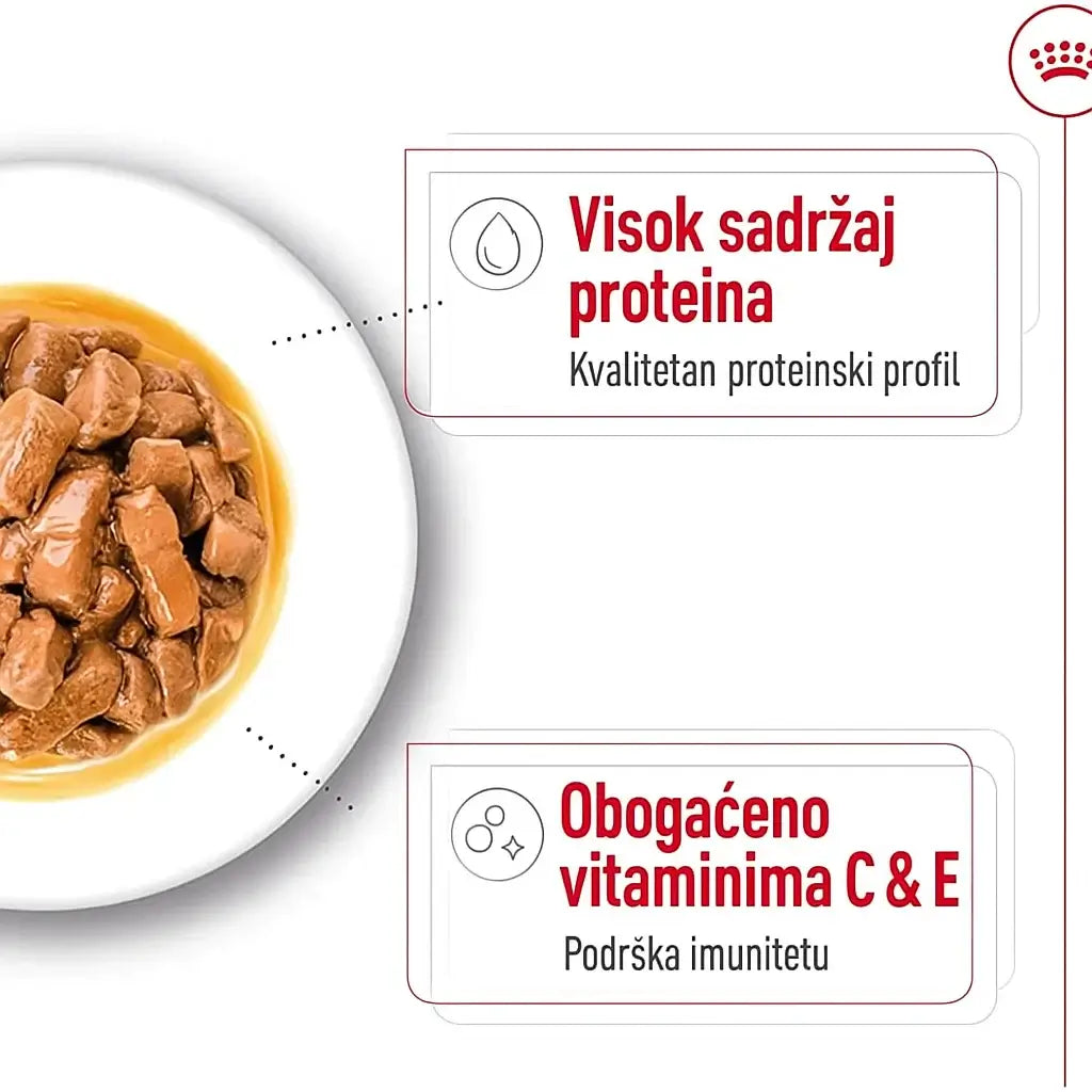 Royal Canin mokra hrana za pse – visok sadržaj proteina i obogaćeno vitaminima C i E za podršku imunitetu