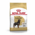 Royal Canin Rottweiler Adult – Hrana za odrasle rotvajlere