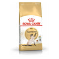 ROYAL CANIN Siamese 38 2kg hrana za odrasle sijamske mačke