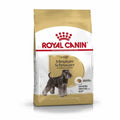 Royal Canin  Schnauzer Adult: Hrana za Odrasle Pse 3kg
