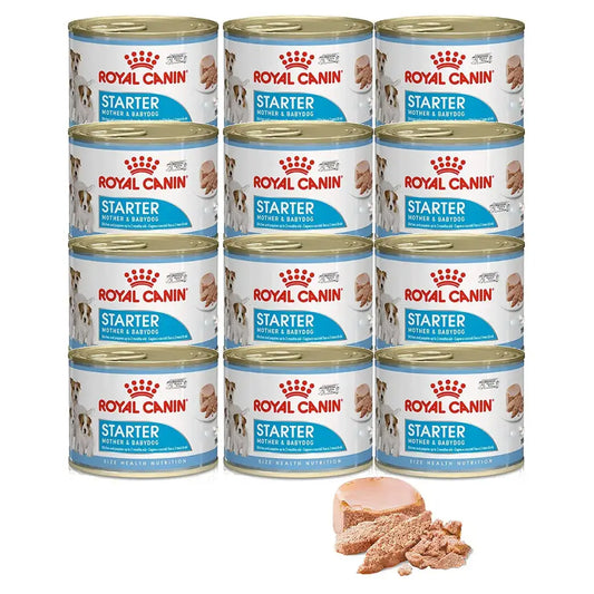 Royal Canin Starter Mousse vlažna hrana za štence i kuje 195g

