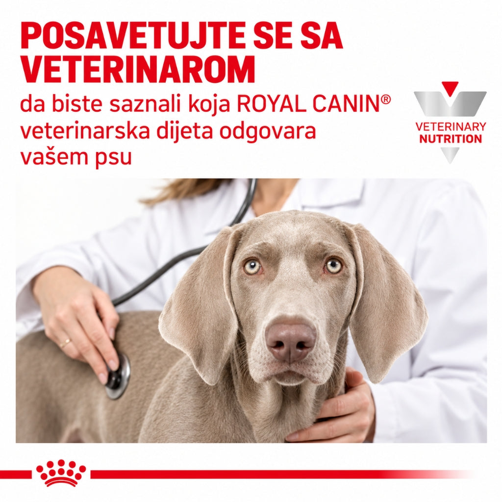 Veterinar pregleda psa stetoskopom – Royal Canin veterinarska hrana za pse