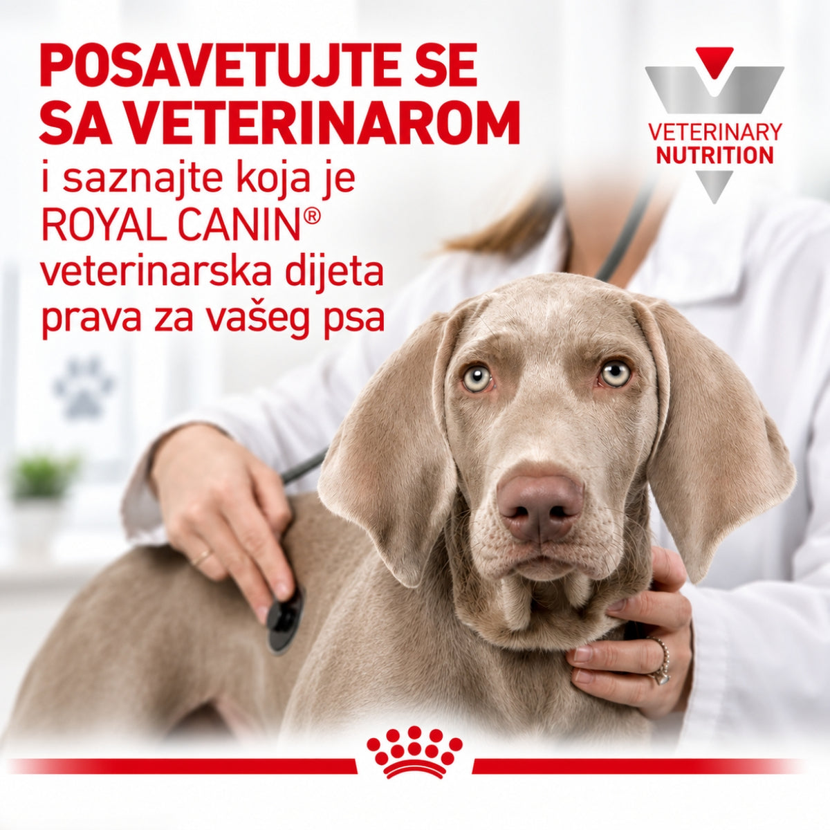 Royal Canin Hepatic Dog suva hrana za pse