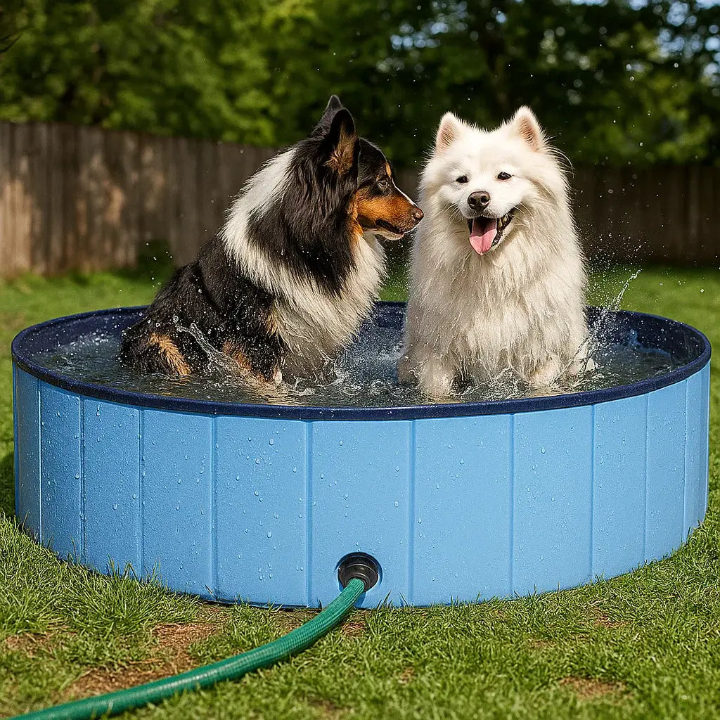 Trixie bazen za pse 120x30cm – plavi, od čvrste plastike, za velike pse