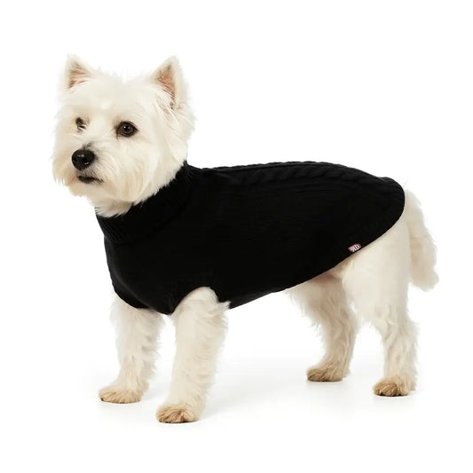 Westie u crnom TRIXIE Kenton pletenom džemperu XS (27 cm) na beloj pozadini