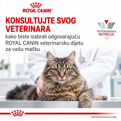 veterinarska ishrana za macke